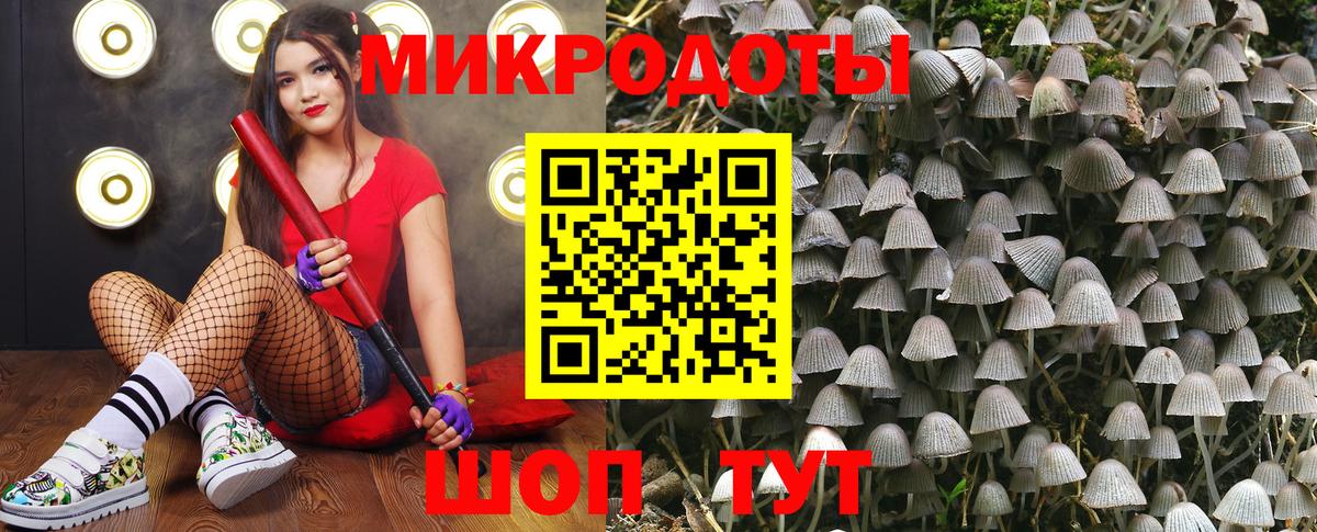 Галлюциногенные грибы Psilocybine cubensis  Галлюциногенные грибы ЛСД  Вход с VPN  Семёнов 